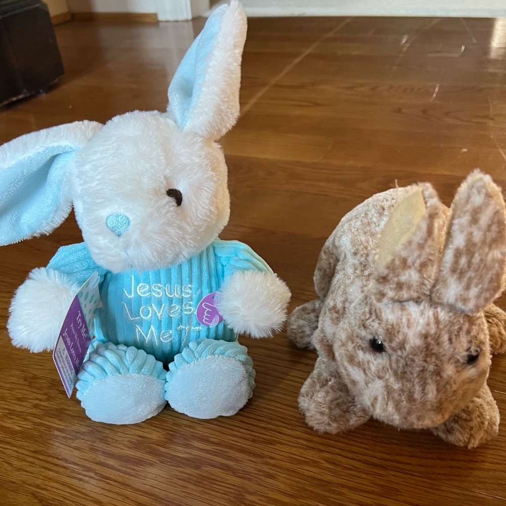 2 Bunnies